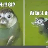 Xà lách