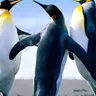 1244335633fggc