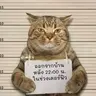 Chitan369