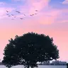 hwng