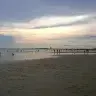 Avctyu