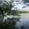 Czzzzz