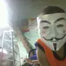 Wolf29