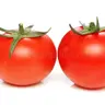 Tomato0806