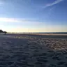 TraiThemLonLa