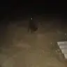 xalinkan