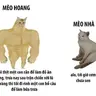 huongdembayxa02