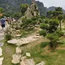 Caugiay