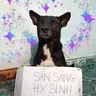 Thetinggo