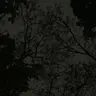 ngminh12333