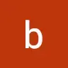 Rồng con miền bắc