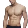 Sóc xinh