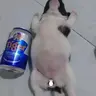 Giọt nắng pha lê