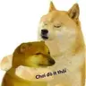 sojive8343