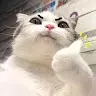 Hyoudotouya