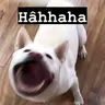 hongbien123