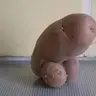 codonkr