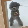 ĐiH HùG