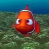 nemolacbo