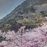 quangminh1