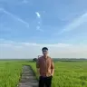viettrinh
