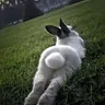 bunnyskinny