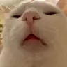 Ntanh123