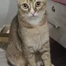 nhangheo_xautrai