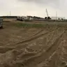 Tuoitom