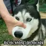 Hkhkfc12
