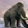 Mamut3007