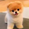 ĐqK
