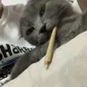 Uongnuocdieu