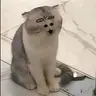 Emperorr