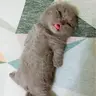 bé ốc eoeo