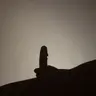 Congcong28
