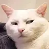 Diacomkosuon
