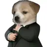tôi là gay