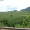 tuanngoan91