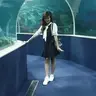 tik tok