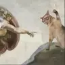 Ioyu