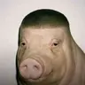 truongtrucnamdinh
