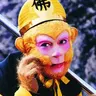 Tôn Ngộ Tĩnh