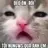 :VVV