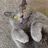 Meodan