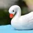 Duck93