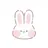 Badbunnyyy