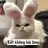 xchienf1