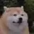 bingf