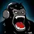 King-Kong